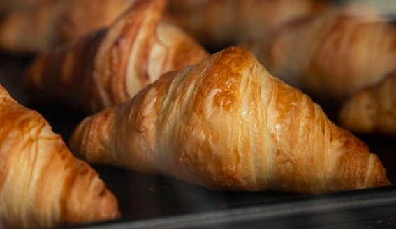 八月堂特許經營加盟計劃