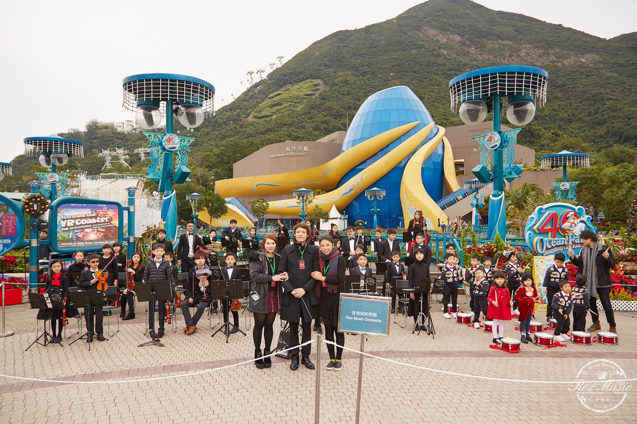 域斯琴行 Rex Music特許經營加盟計劃