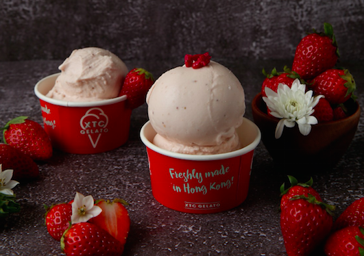 XTC Gelato特許經營加盟計劃