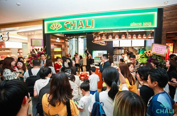 茶里特許經營加盟計劃