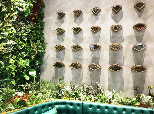 茶里特許經營加盟計劃